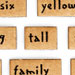Building a Child's Vocabulary