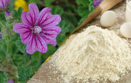 Homophone Usage: Flower or Flour?
