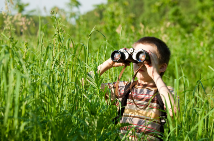 How to Teach Sight Words