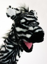 Ziggy the Zebra