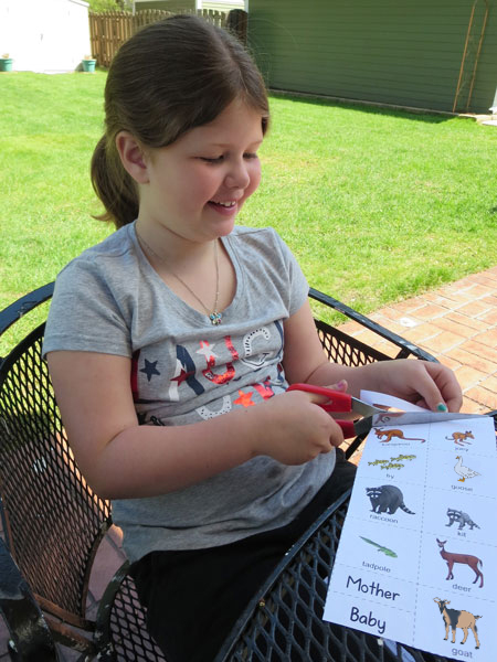 Baby Animal Names (FREE Downloadable Matching Activity)