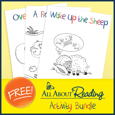 FREE All About Reading Activit...